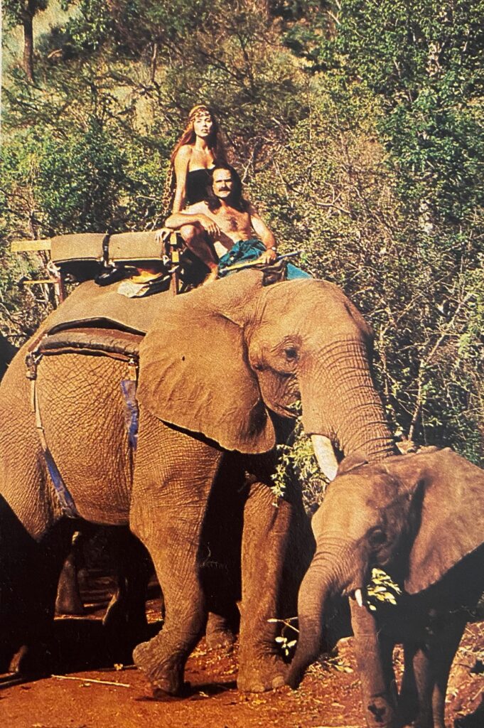 Deborah Shelton on an elephant in South Africa